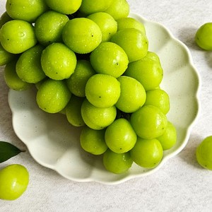 산지직송 샤인머스켓 당도보장, 일반형 2kg 2-3수, 1개