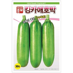 아시아종묘 킹카애호박 애호박 씨앗 30립, 1개