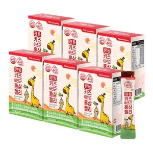 광동 6년근 키즈 어린이 홍삼 젤리 스틱, 600g, 6개