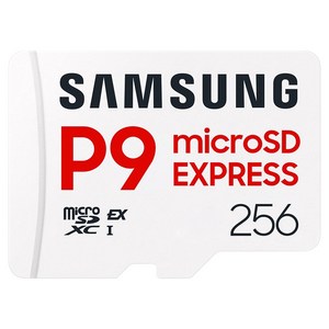 삼성전자 마이크로SD 익스프레스 카드 P9 Express 닌텐도스위치2 +케이스, 1개, 256GB