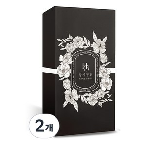 향기공감 패브릭 퍼퓸 특대용량 섬유향수, 2개, 520ml, 밤쉘
