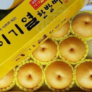 [이기열 한방배] 명품 배 선물세트 GAP인증 농림부 장관상 수상 명인의 고당도 한방배., 1박스, 7.5kg(명품 대과)