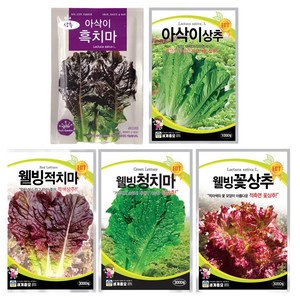 상추씨앗 모음 사계절 상추 5종 세트 아삭이흑치마 청치마 적치마 꽃상추 아삭이상추 씨앗 각1봉씩, 1개