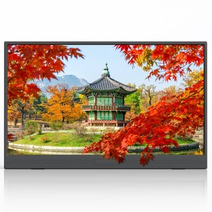 ZSUS 휴대용 모니터 게이밍모니터 15.6inch IPS FHD, PM15A, 39.6cm