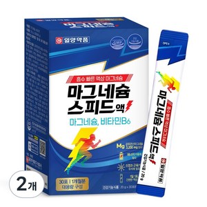 일양약품 마그네슘 스피드액, 600g, 2개