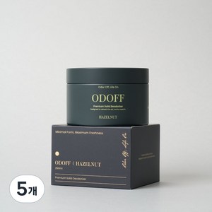오도프 실내 고체 탈취제 냄새 제거, 5개, 250ml