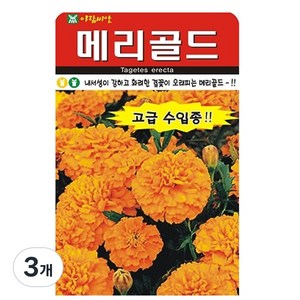 아람종묘 메리골드 꽃 씨앗, 3개