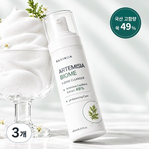 [국산 고함량 쑥 49%] 파리노아 PDRN 여성청결제 Y존 약산성 여성 질 유산균 페미닌 포밍 워시 저자극 시카 엑소좀 판테놀 세라마이드 보습 케어, 3개, 185ml