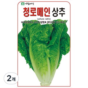 아람종묘 청로메인상추 씨앗, 2개