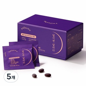 얄라차 맛있는 포도맛 츄어블 철분제 달이면 달마다, 14g, 5개