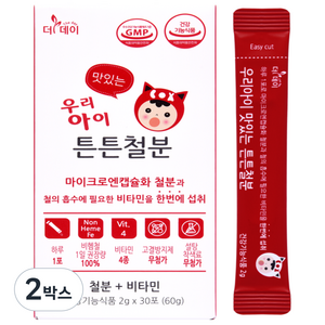 더데이 우리아이 튼튼철분 비헴철 아기 유아 키즈 어린이 청소년 비타민 엽산 철분 영양제 포도맛, 30회분, 2박스