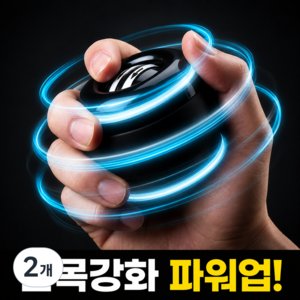 호담즈 전완운동 손목강화 자이로볼, 2개, 블랙