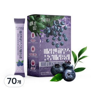 베리앤하우스 블루베리 퓨레 미국산 홈쇼핑, 70개, 20g