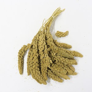 스프레이 밀렛 앵무새 간식, 500g, 1개