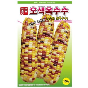아시아종묘 오색옥수수 옥수수 씨앗 100립, 1개