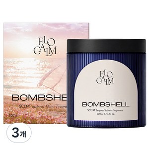 플로캄 대용량 실내 고체 탈취제 화장실 신발장 옷장 악취 냄새 제거 밤쉘 향, 500g, 3개