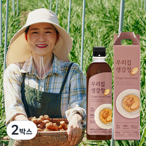 국내산 100% 안동 생강 천연벌꿀 함유 우리집 생강청, 2박스, 1개입, 600g