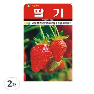 SN월드 딸기 씨앗 100립, 2개