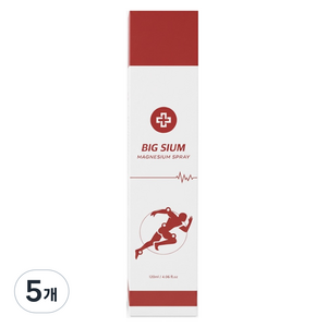 빅슘 뿌리는 마그네슘 스프레이, 120ml, 5개