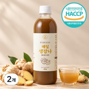 [물 한방울 넣지 않은] 안동생강 100% 국내산 매일생강나 진짜 생강청, 2개, 1개입, 600g