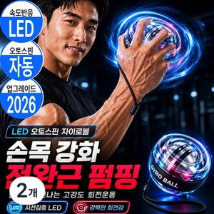 런포미 오토스핀 손목운동 자이로볼 3.0 PRO, 클리어메탈, 2개