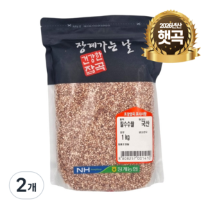 [농협] [26년산] 장수 장계농협 국산 찰수수, 2개