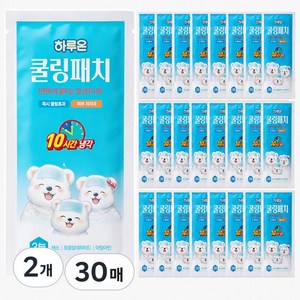 하루온 쿨링패치 열냉각 해열시트 30매 어린이 성인 겸용, 2개