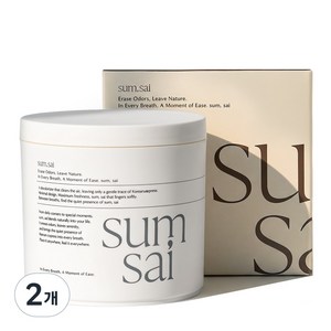 숨사이 편백 실내 탈취제, 300g, 2개 골드박스 특가