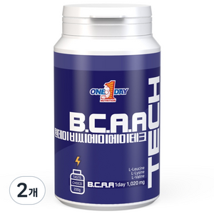 원데이뉴트리션 초코맛_BCAA테크, 2개, 200g