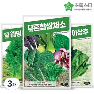 혼합쌈채소 웰빙청치마 아삭이상추 상추씨앗 3종세트, 3개