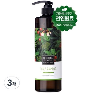 르퀼라야 스칼프 샴푸 포레스트, 810ml, 3개