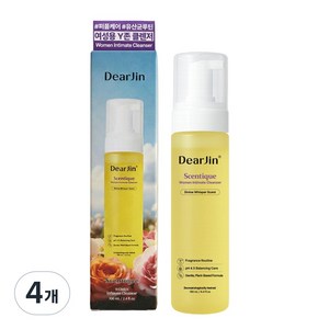 디어진 센티크 여성 청결제 Y존 질 세정제 약산성 페미닌워시 냄새 케어, 4개, 190ml