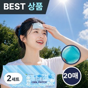더블수 핫썸머 아이스 쿨패치 쿨링 냉찜질 20매, 2세트