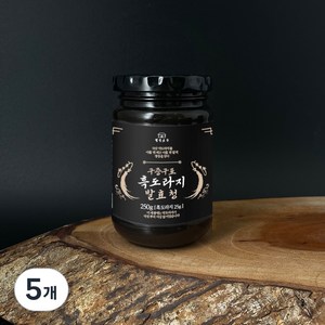웰빙곳간 구증구포 흑도라지 발효청, 250g, 5개