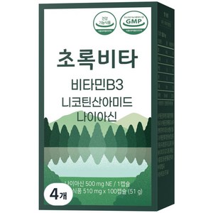 초록비타 고용량 비타민B3 500mg (나이아신아마이드 니코틴산아미드 미국산 원료), 4개, 100정