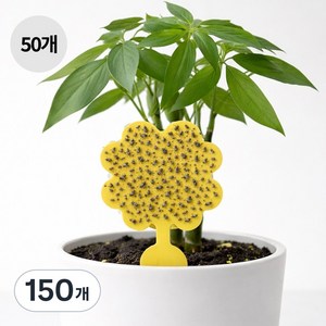 ROYAI ONE 벼룩파리 초파리트랩 테이프 끈끈이 제거 나방파리퇴치, 150개, 4g