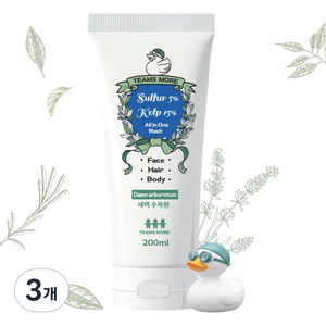 팀스모어 유황 다시마 수영 올인원 워시 새벽수목원, 3개, 200ml