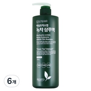 모에타 어성초 자소엽 녹차 샴푸액 지성 두피용, 1kg, 6개