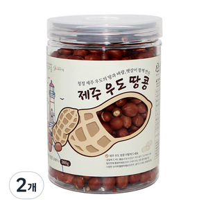 지구마을 제주 우도 볶은땅콩, 2개, 300g