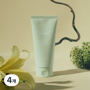 더마쉐어 비건 티트리 여드름 기능성 아크네 피에이치 밸런스 약산성 폼 클렌저, 4개, 150ml