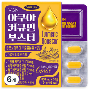 [웰스앤헬스] 비제닉스 아쿠아 커큐민 부스터 수용성 강황 퀘르세틴 코엔자임Q10 (800mg), 6박스, 30정