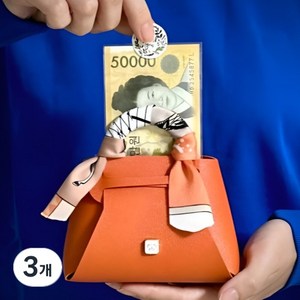 클라르떼 부모님 용돈 고급 선물 박스 가방, 오렌지, 3개