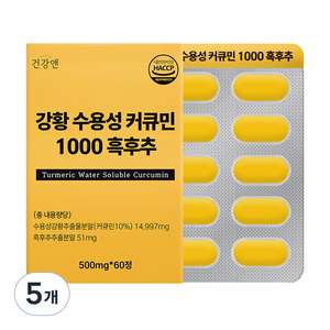 강황 수용성 커큐민 1000 흑후추 식약청인증 HACCP 건강앤, 60정, 5개