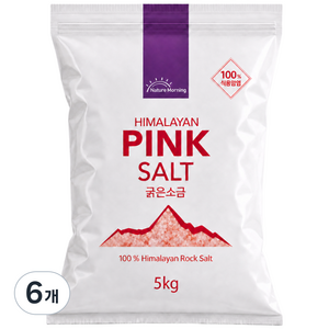 네이처모닝 히말라야 핑크솔트 굵은소금 수입사 직판, 5kg, 6개