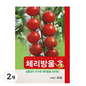 마이산도시농부 체리 방울 토마토 씨앗, 2개