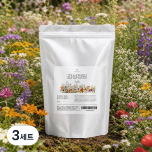 [노지직파 꽃씨앗 대용량] 베라노 감성정원 30종 꽃씨혼합 1만5천립 1평-3평 파종 노지 월동 다년생 사계절 야생화 종자, 3세트