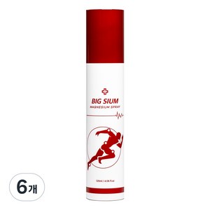 빅슘 뿌리는 마그네슘 스프레이, 120ml, 6개