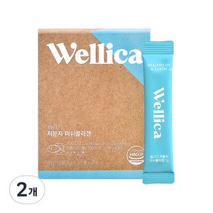 웰리카 저분자 피쉬 어린콜라겐 펩타이드 300달톤 이너뷰티, 2개, 60g