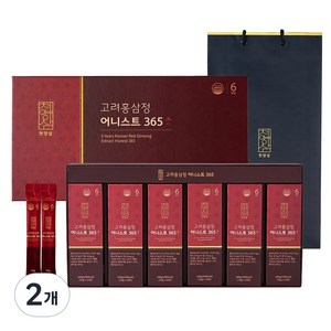 천양삼 6년근 고려홍삼정 어니스트 365 홍삼스틱 60포 선물세트 + 쇼핑백, 600g, 2개