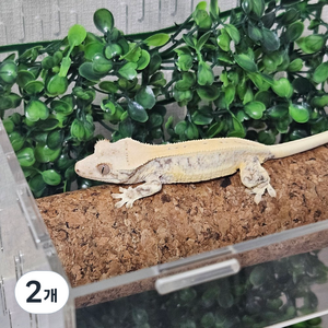 크레마루 초고밀도 코르크 원통형 백업, 2개, 코르크 20cm